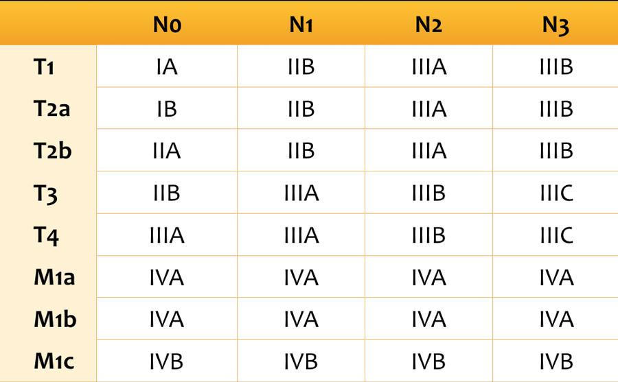 Stages of lung cancer adapted from the 8th Edition of TNM in Lung Cancer